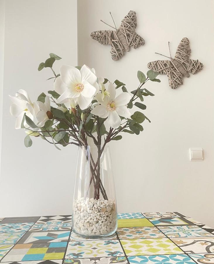 Apartamento Pinares Apartment Soria Ngoại thất bức ảnh
